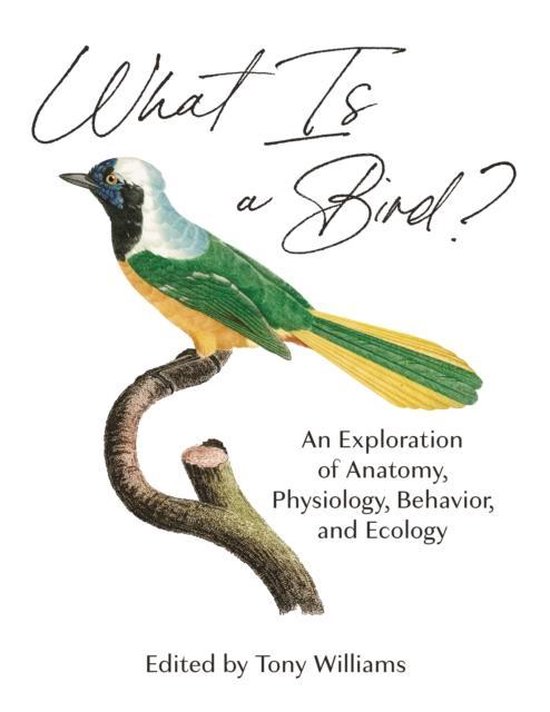 What Is a Bird?