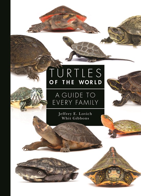 A Guide to Every Family- Turtles of the World