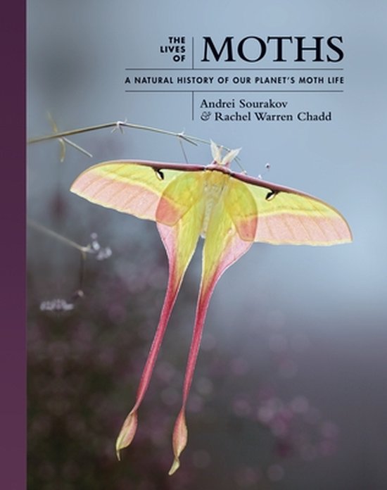 The Lives of the Natural World-The Lives of Moths