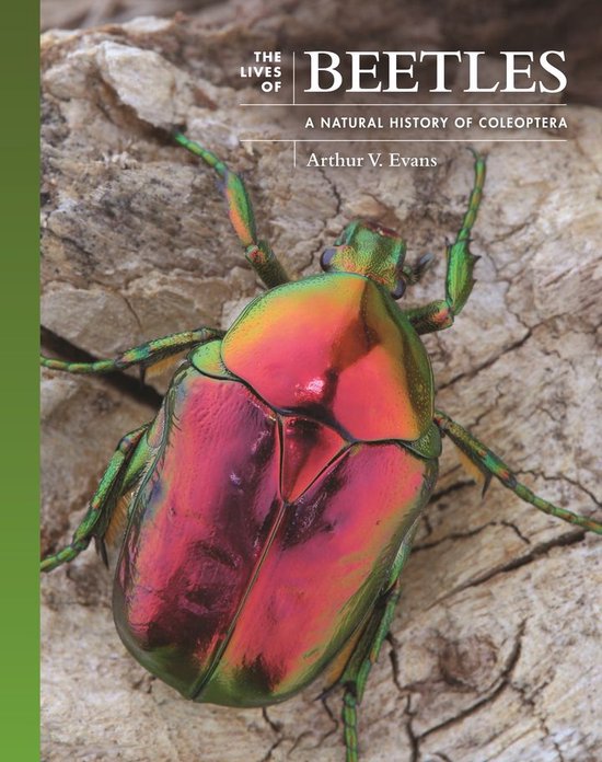 The Lives of the Natural World - The Lives of Beetles