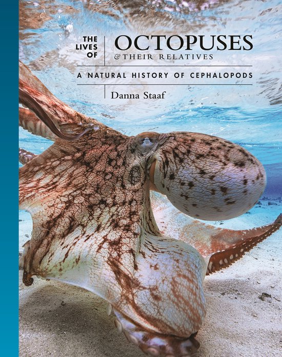 The Lives of the Natural World-The Lives of Octopuses and Their Relatives