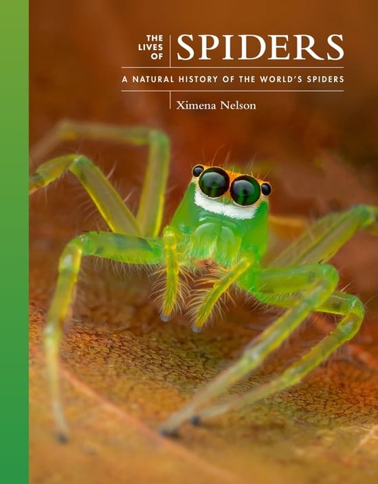 The Lives of the Natural World - The Lives of Spiders