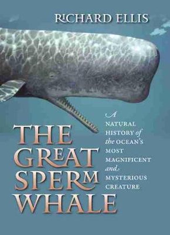 Great Sperm Whale