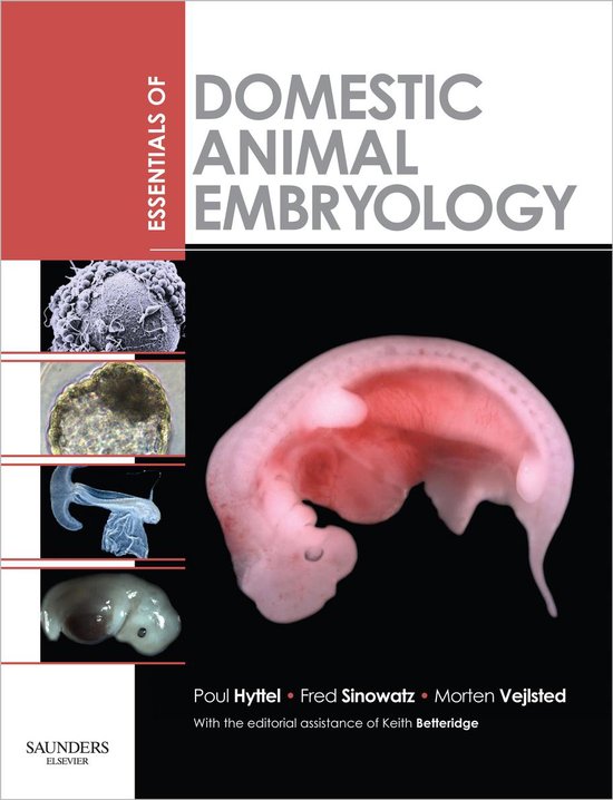 Essentials Of Domestic Animal Embryology