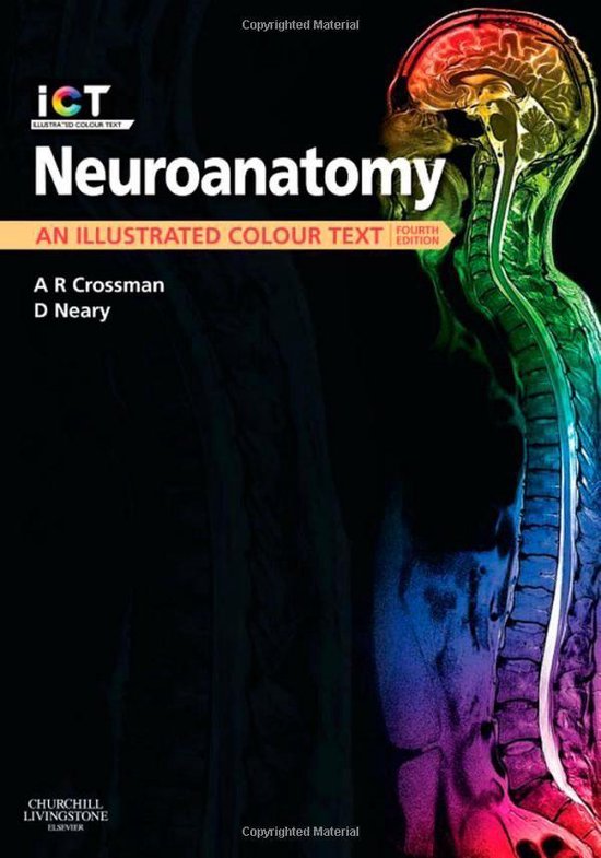 Neuroanatomy,