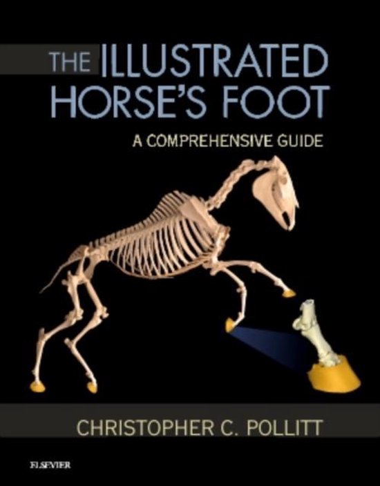 Illustrated Horses Foot