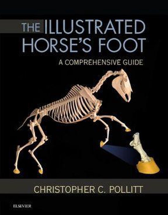 The Illustrated Horse's Foot
