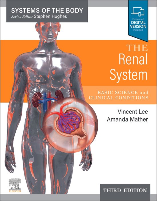 The Renal System