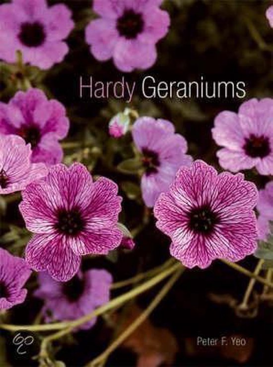 Hardy Geraniums