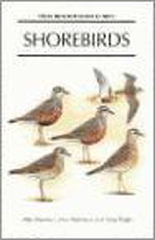 Shore Birds