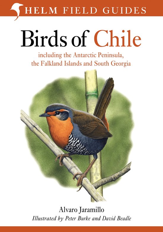 Birds of Chile Including the Antarctic Peninsula, the Falkland Islands and South Georgia Helm Field Guides