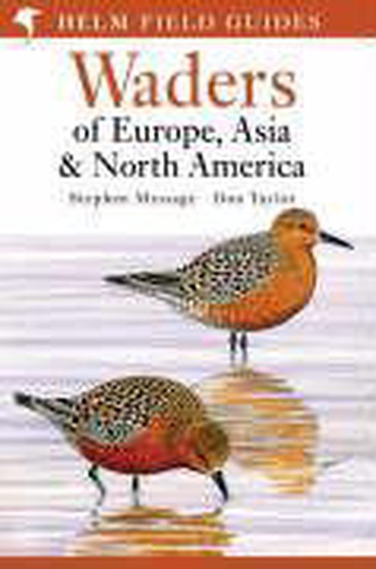 Waders Of Europe, Asia And North America