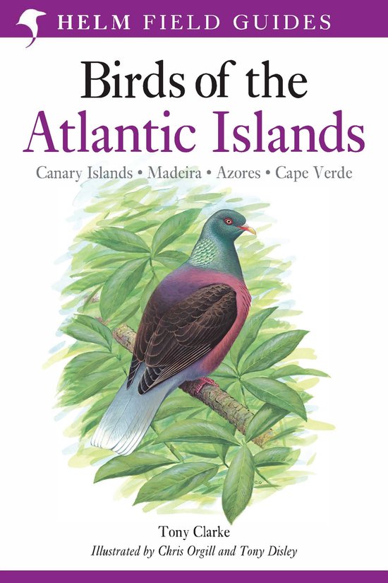 Field Guide To Birds Of Atlantic Islands