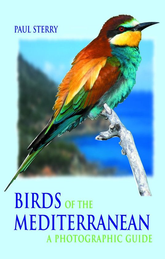 Birds Of Mediterranean