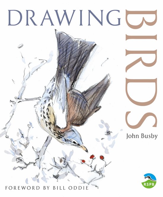 Drawing Birds