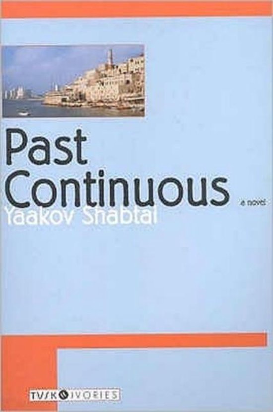 Past Continuous