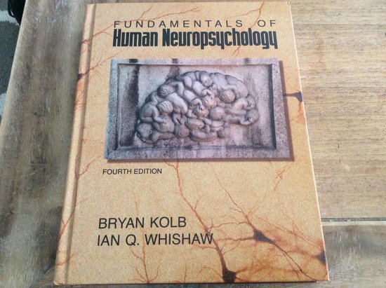 Fundamentals of human neuropsychology