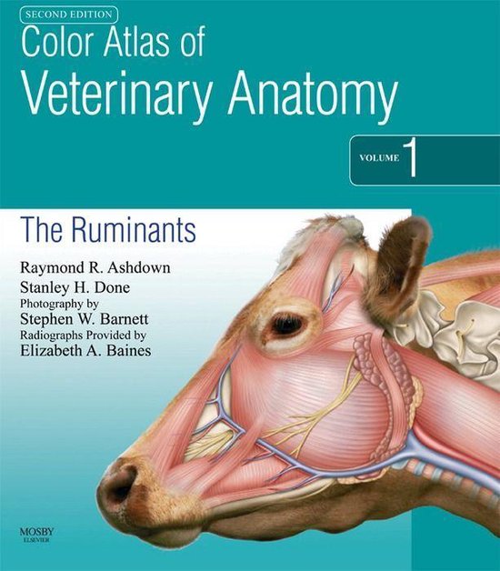 Color Atlas Of Veterinary Anatomy, Volume 1, The Ruminants E-Book