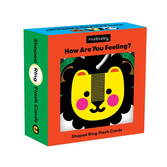 How Are You Feeling? Shaped Ring Flash Cards