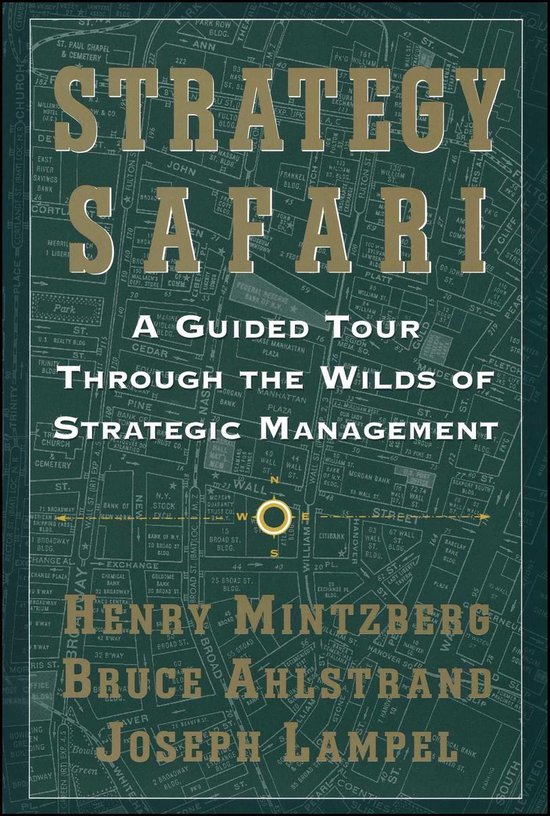 Strategy Safari