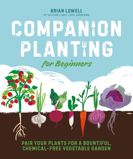 Companion Planting for Beginners