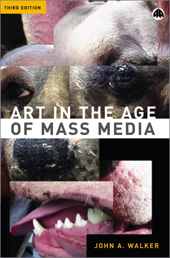 Art In The Age Of Mass Media 3rd