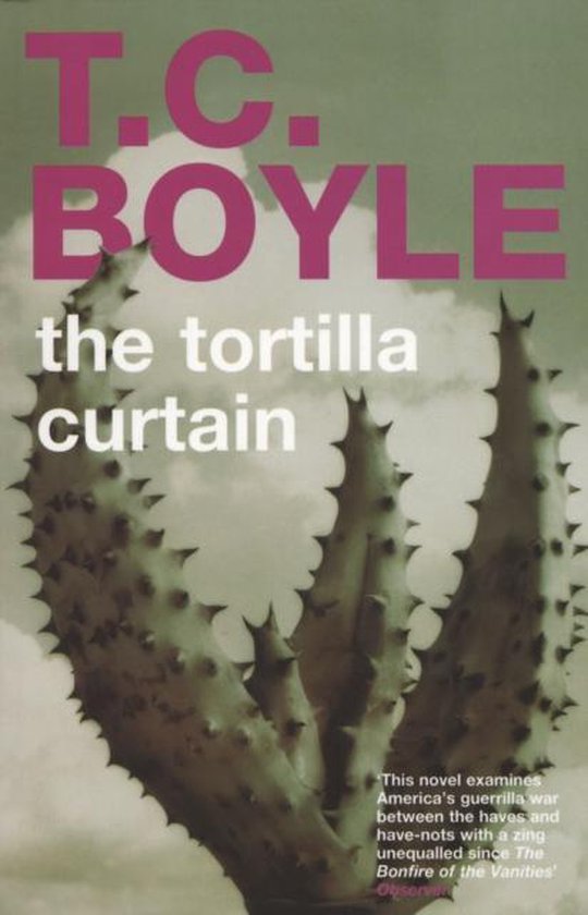 Tortilla Curtain