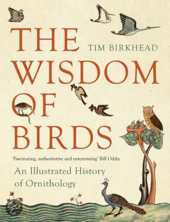 The Wisdom Of Birds