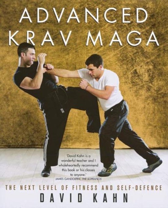 Advanced Krav Maga