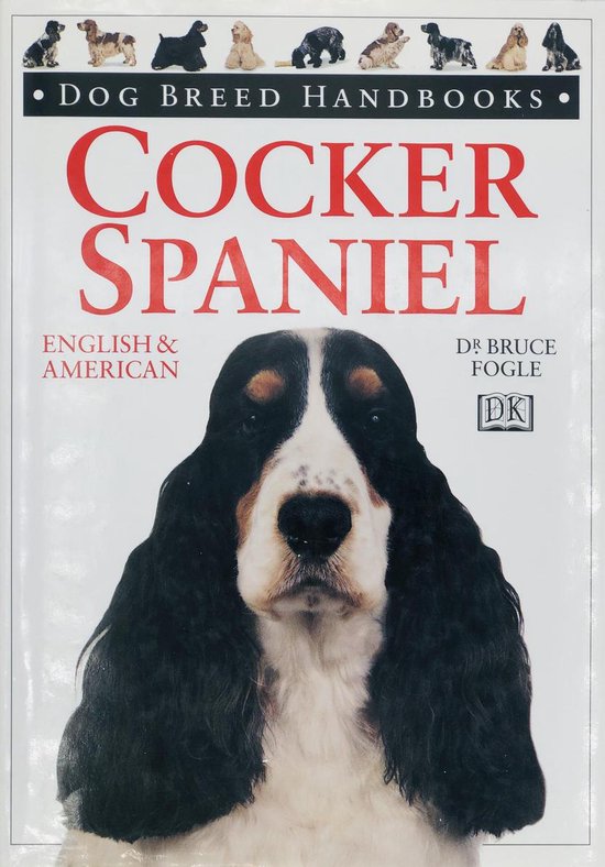 Cocker Spaniel