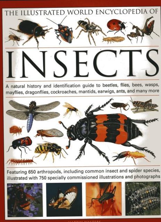 The Illustrated World Encyclopedia of Insects: A Natural History and Identification Guide to Beetles, Flies, Bees, Wasps, Springtails, Mayflies, Stone