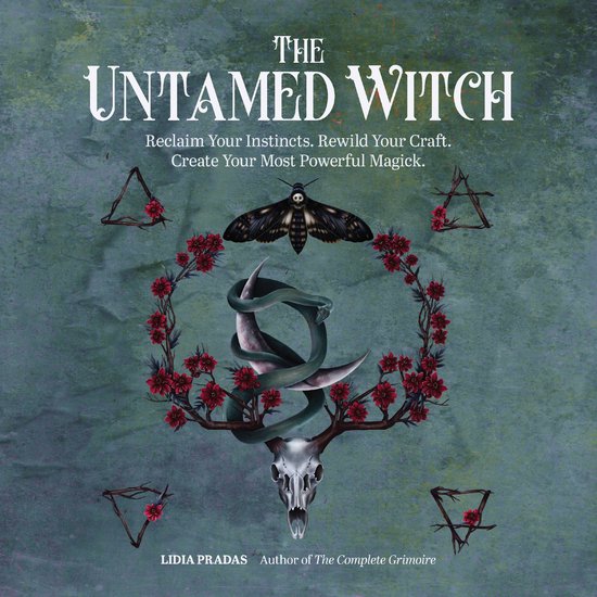 The Untamed Witch