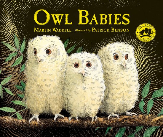 Owl Babies