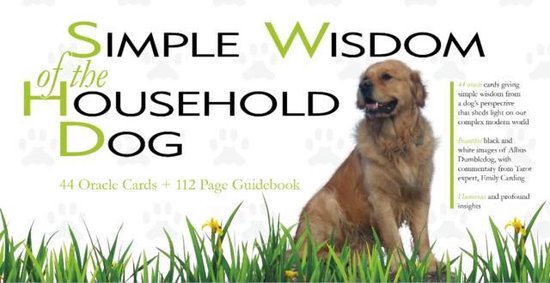 Simple Wisdom of the Household Dog