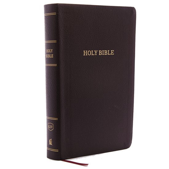 KJV, Reference Bible, Personal Size Giant Print, Bonded Leather, Burgundy, Red Letter, Comfort Print