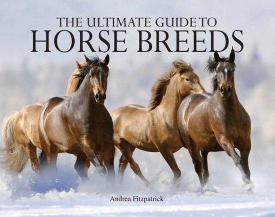 The Ultimate Guide to Horse Breeds