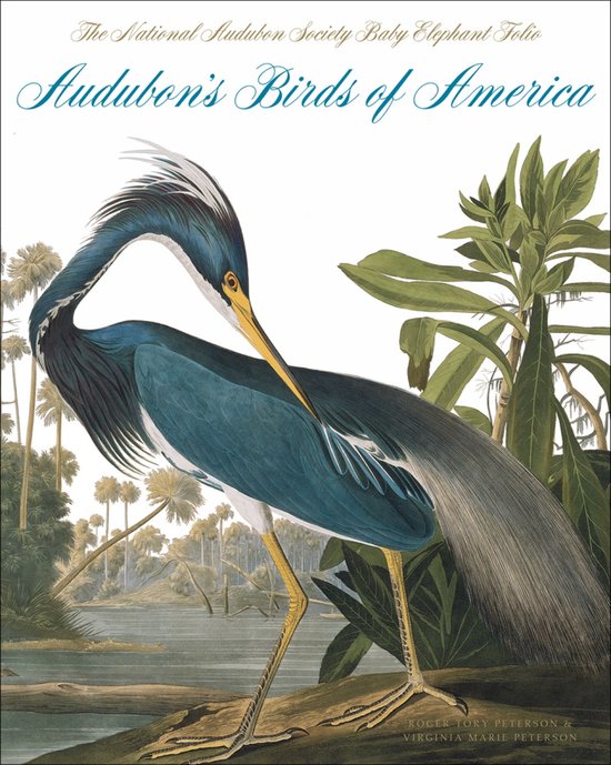 Audubons Birds Of America