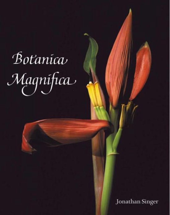 Botanica Magnifica