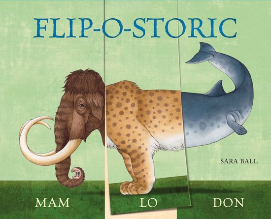 Flip O Storic