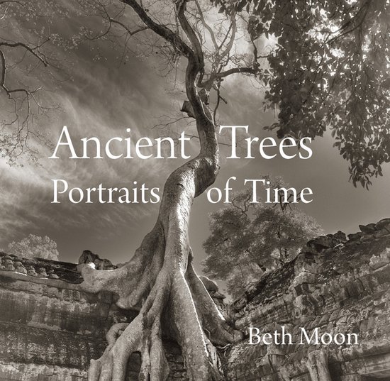 Ancient Trees Portraits Of Time