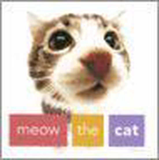 Meow The Cat