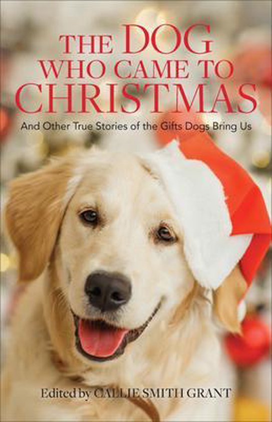 The Dog Who Came to Christmas – And Other True Stories of the Gifts Dogs Bring Us