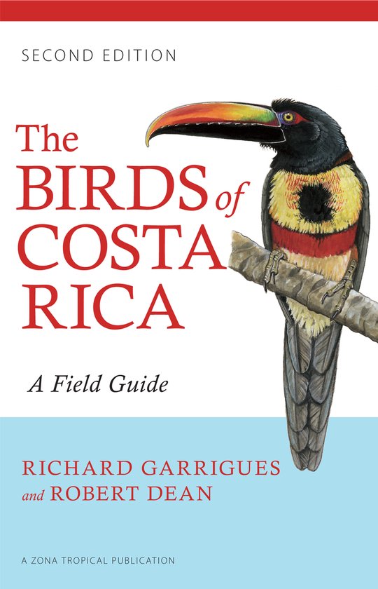 Birds Of Costa Rica