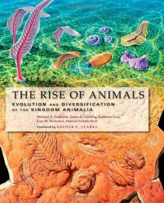 The Rise of Animals – Evolution and Diversification of the Kingdom Animalia