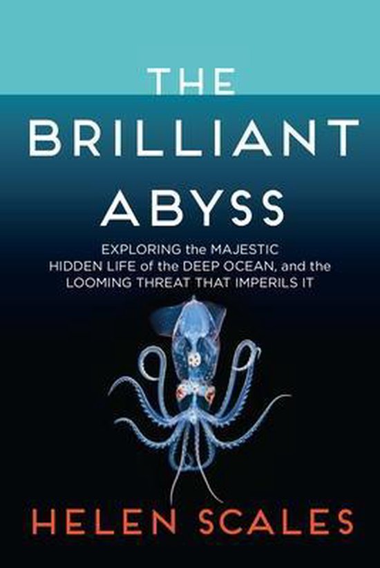 The Brilliant Abyss