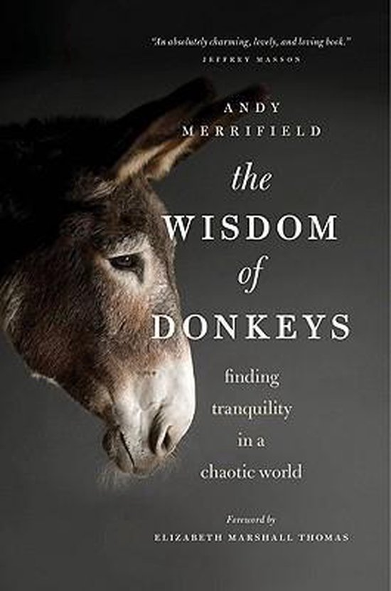 The Wisdom of Donkeys