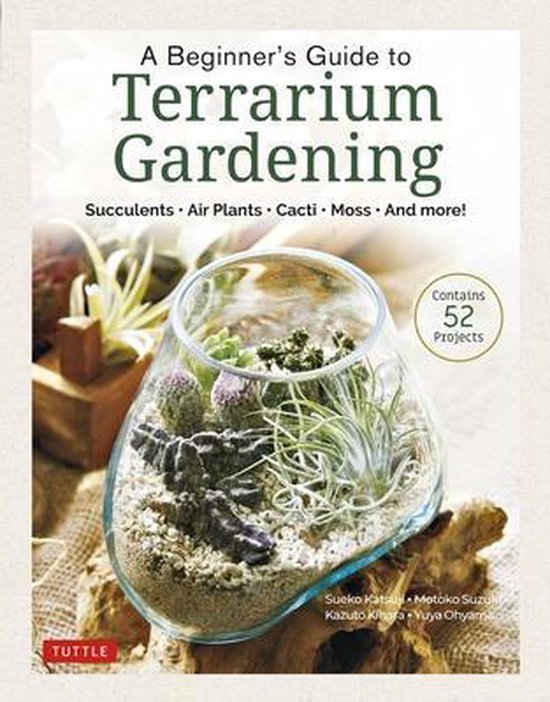 A Beginner's Guide to Terrarium Gardening