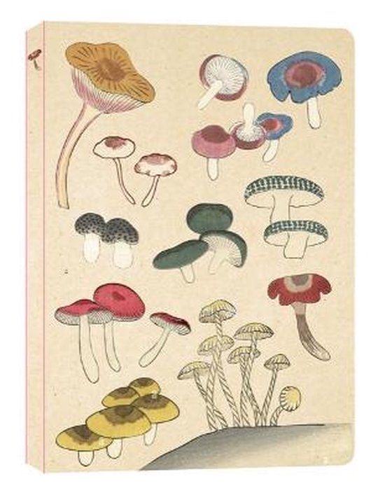 Journal- Healing Mushrooms Lined Paperback Journal