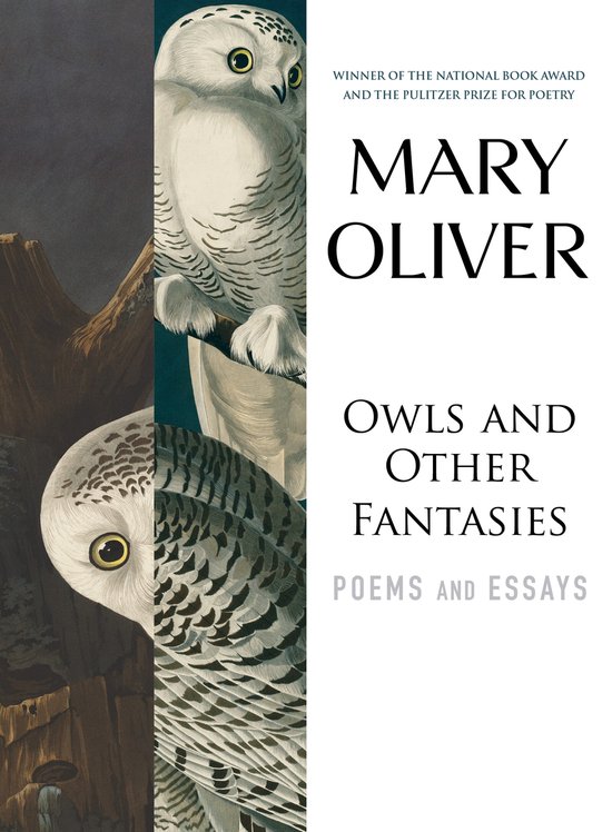 Owls And Other Fantasies