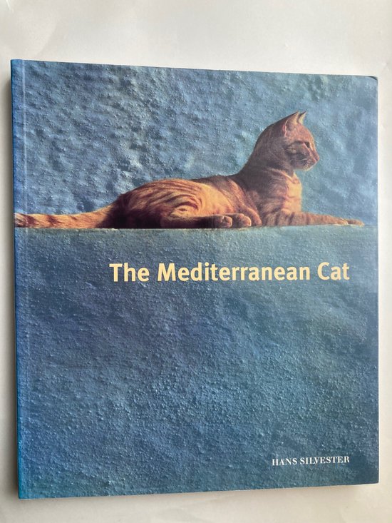 Mediterranean Cats